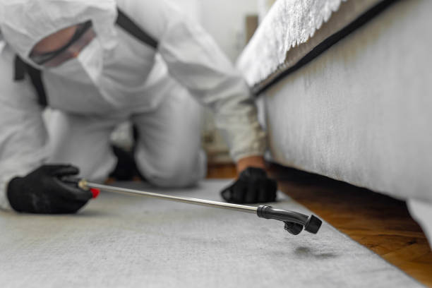 Professional Termite Control technician working in Clarks Green, PA