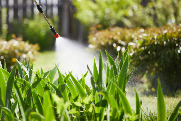 24/7 Emergency Termite Control experts in Clarks Green, PA