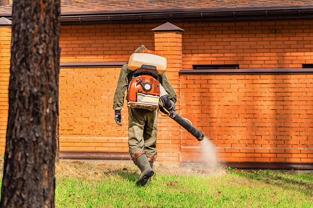 Trusted Mosquito Control service in Clarks Green, PA - Nex Pest Control